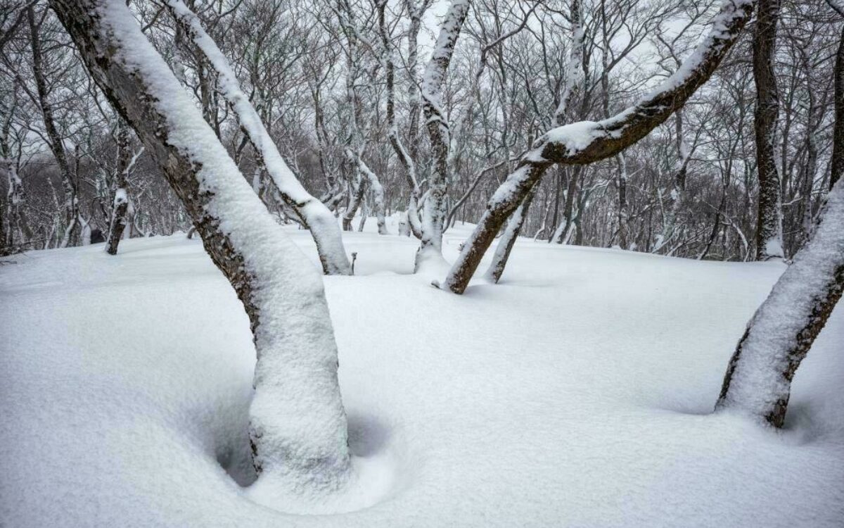 1612722622landscape 5921198 1920 1612722622landscape 5921198 1920